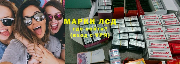 гидра Каменка